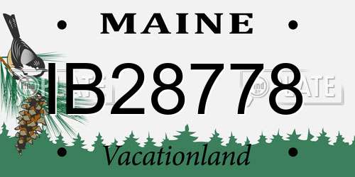 IB28778 Maine License Plate