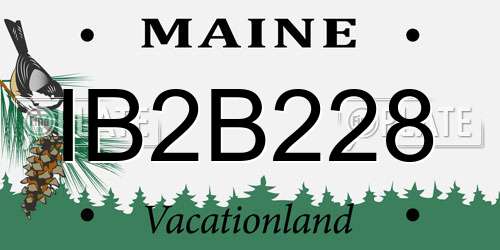 IB2B228 Maine License Plate