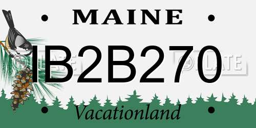 IB2B270 Maine License Plate