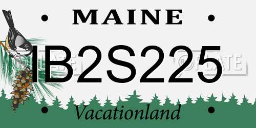 IB2S225 Maine License Plate