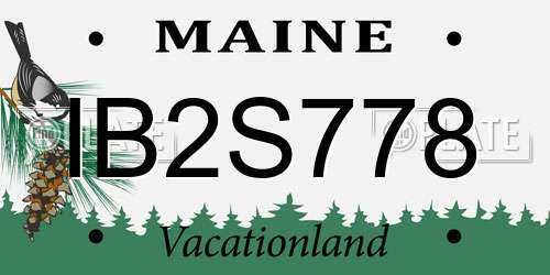 IB2S778 Maine License Plate