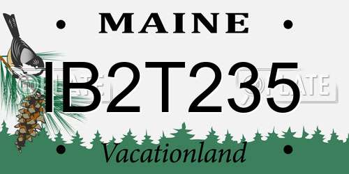 IB2T235 Maine License Plate