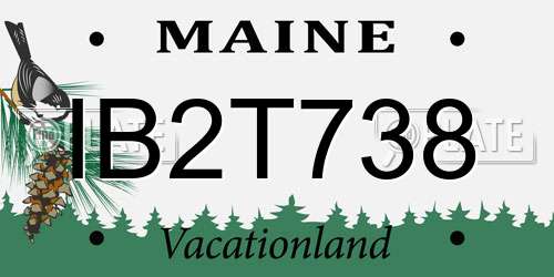 IB2T738 Maine License Plate