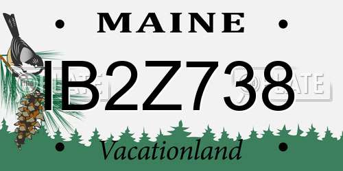 IB2Z738 Maine License Plate