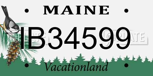 IB34599 Maine License Plate