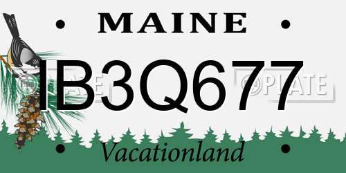 IB3Q677 Maine License Plate