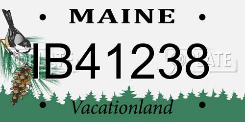 IB41238 Maine License Plate