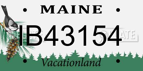 IB43154 Maine License Plate