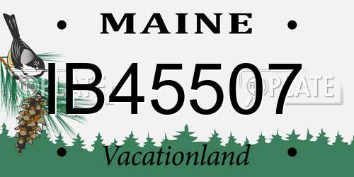IB45507 Maine License Plate