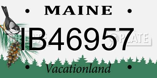 IB46957 Maine License Plate