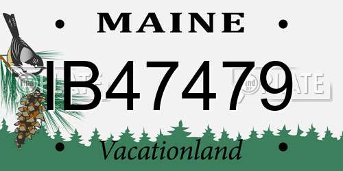 IB47479 Maine License Plate