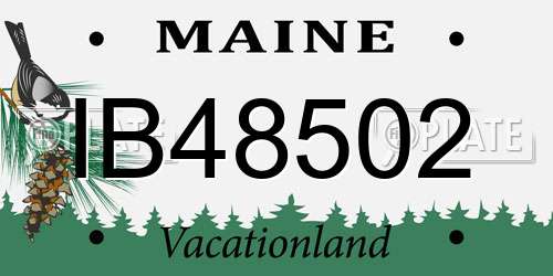 IB48502 Maine License Plate