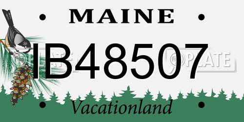 IB48507 Maine License Plate