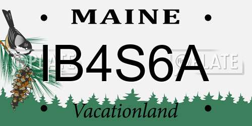 IB4S6A Maine License Plate