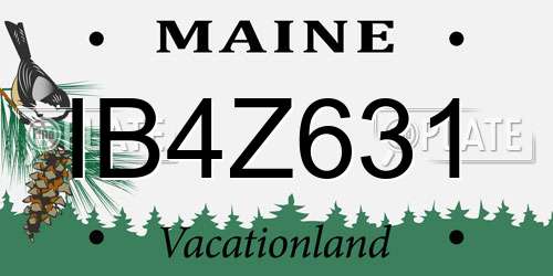 IB4Z631 Maine License Plate