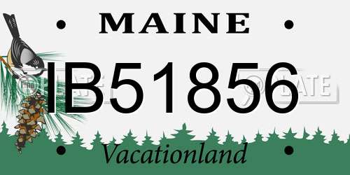 IB51856 Maine License Plate