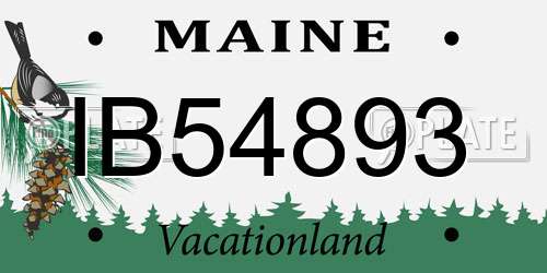 IB54893 Maine License Plate