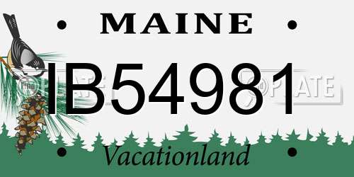 IB54981 Maine License Plate