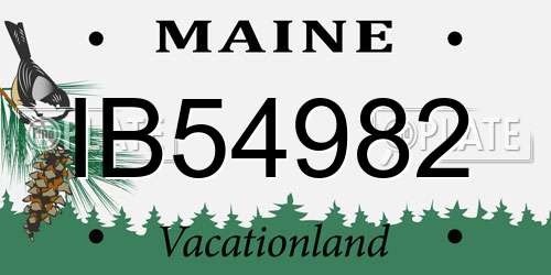 IB54982 Maine License Plate