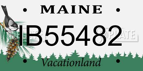IB55482 Maine License Plate