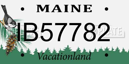 IB57782 Maine License Plate