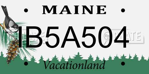 IB5A504 Maine License Plate