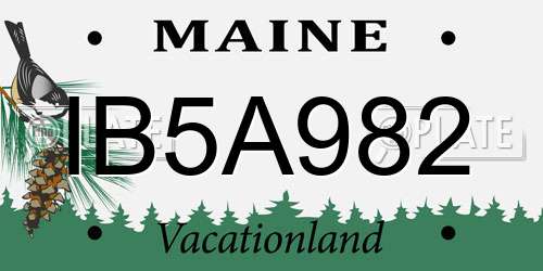 IB5A982 Maine License Plate
