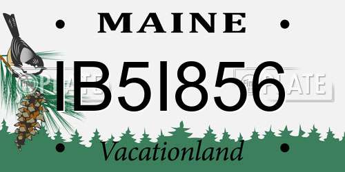 IB5I856 Maine License Plate