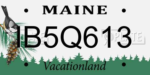 IB5Q613 Maine License Plate
