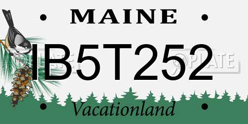 IB5T252 Maine License Plate