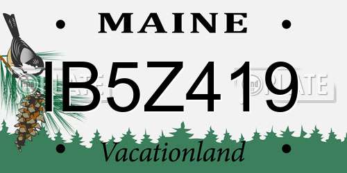 IB5Z419 Maine License Plate