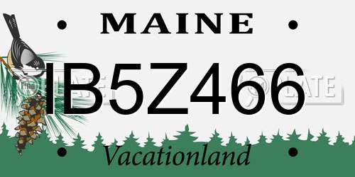 IB5Z466 Maine License Plate