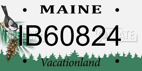 IB60824 Maine License Plate