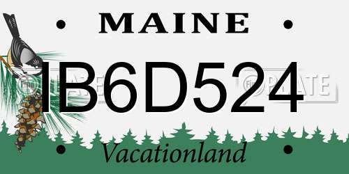 IB6D524 Maine License Plate