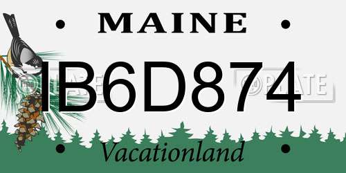 IB6D874 Maine License Plate
