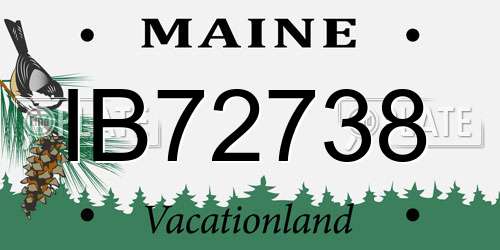 IB72738 Maine License Plate