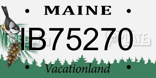 IB75270 Maine License Plate