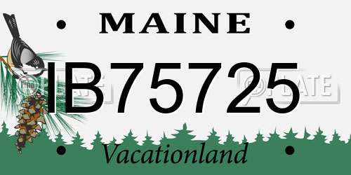IB75725 Maine License Plate