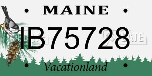 IB75728 Maine License Plate