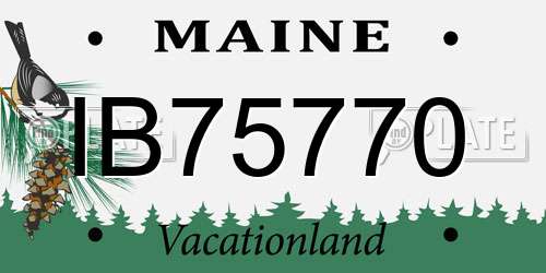 IB75770 Maine License Plate
