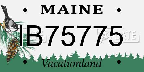 IB75775 Maine License Plate