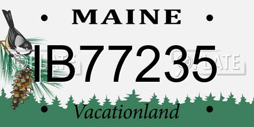 IB77235 Maine License Plate