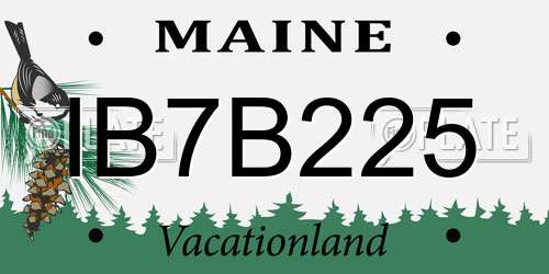 IB7B225 Maine License Plate