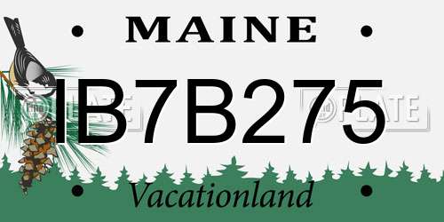 IB7B275 Maine License Plate