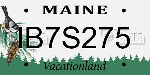 IB7S275 Maine License Plate