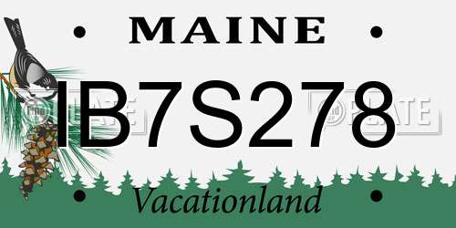 IB7S278 Maine License Plate