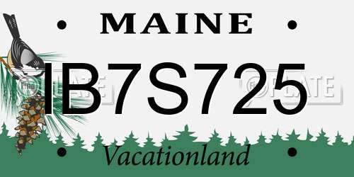 IB7S725 Maine License Plate