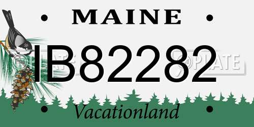 IB82282 Maine License Plate
