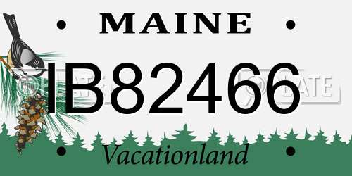 IB82466 Maine License Plate