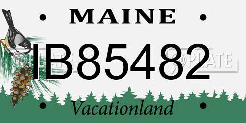 IB85482 Maine License Plate